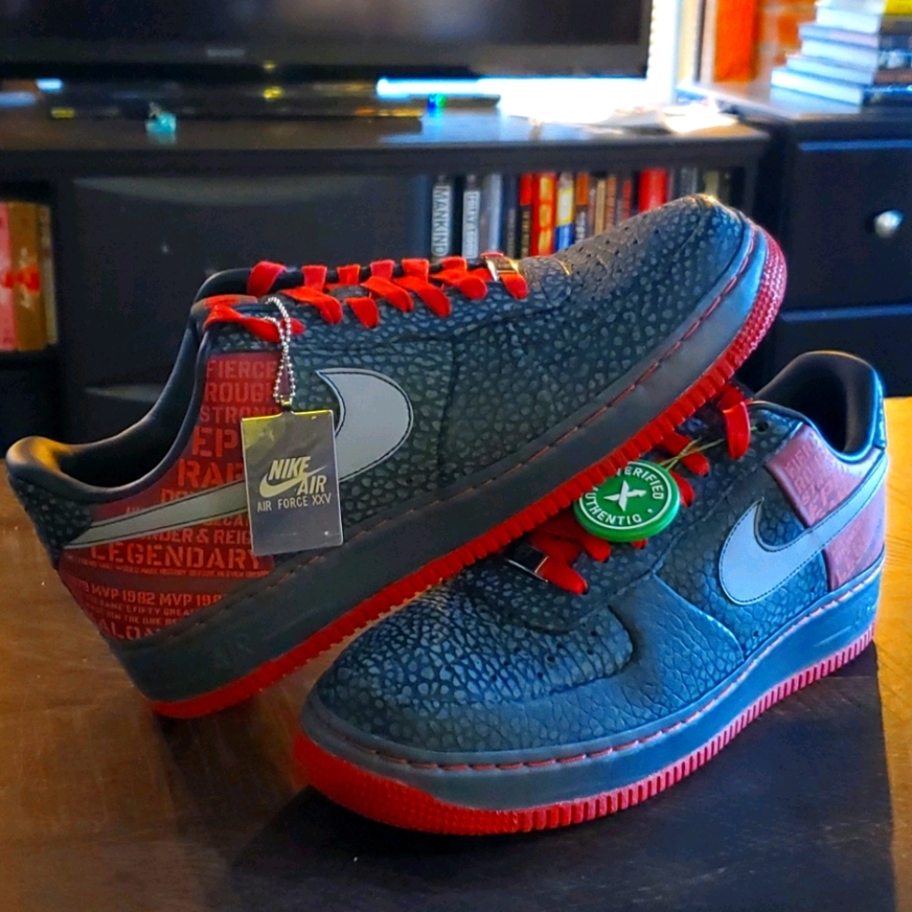 Nike Air Force 1 SPRM '07 (Malone)